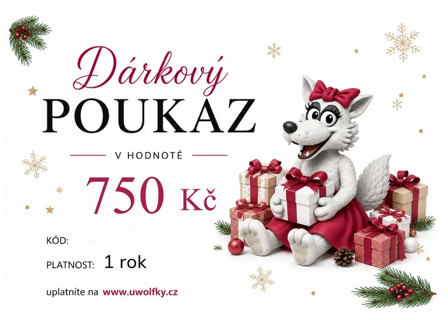 Dárkový poukaz VÁNOČNÍ 750 Kč zaslaný e-mailem