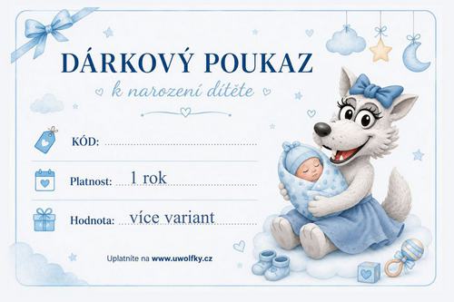 Dárkový poukaz narození dítěte modrý pro kluka zaslání e-mailem