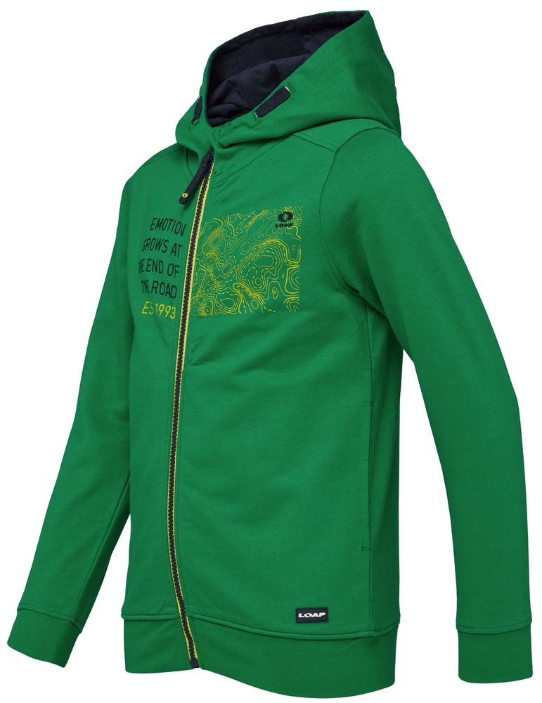 Chlapecká mikina Loap Dorm zelená