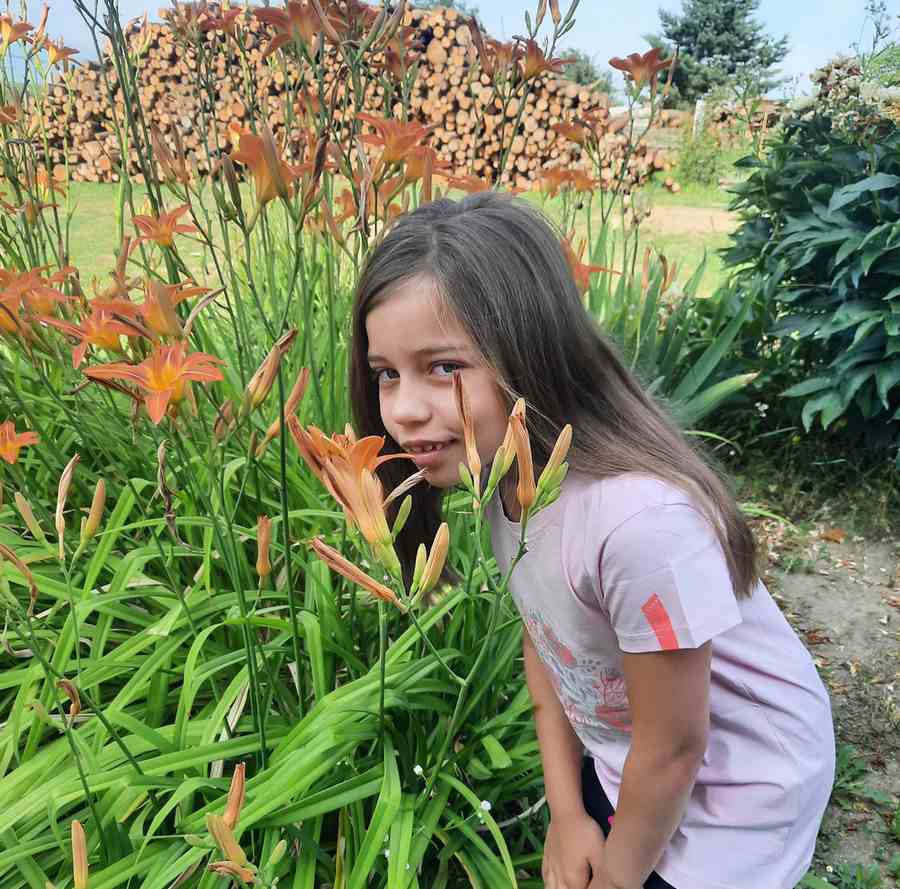 Dívčí tričko Loap Besla růžové