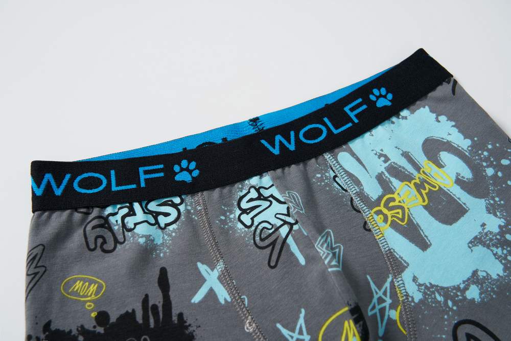 Chlapecké trenkoslipy/boxerky Wolf L2582 dvojbalení