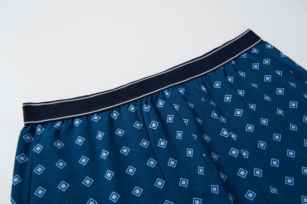 Pánské trenkoslipy/boxerky Wolf L2584 dvojbalení