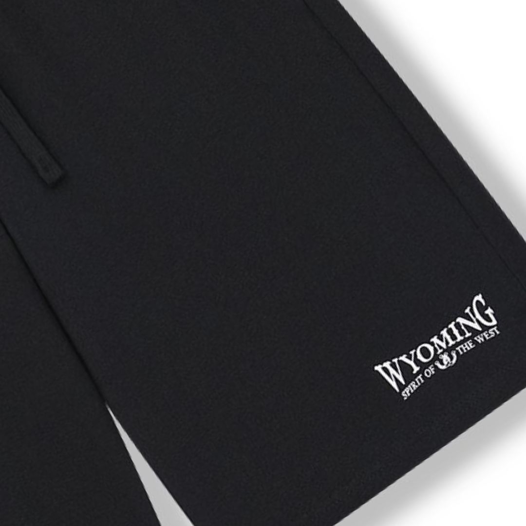 Pánské kraťasy Wolf T2543 černé