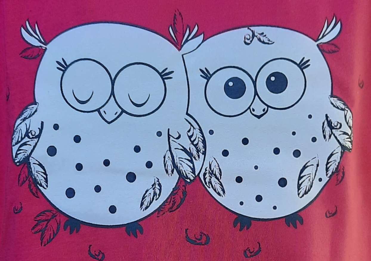 Dívčí pyžamo Betty Mode krátký rukáv / dlouhé nohavice růžové sovičky