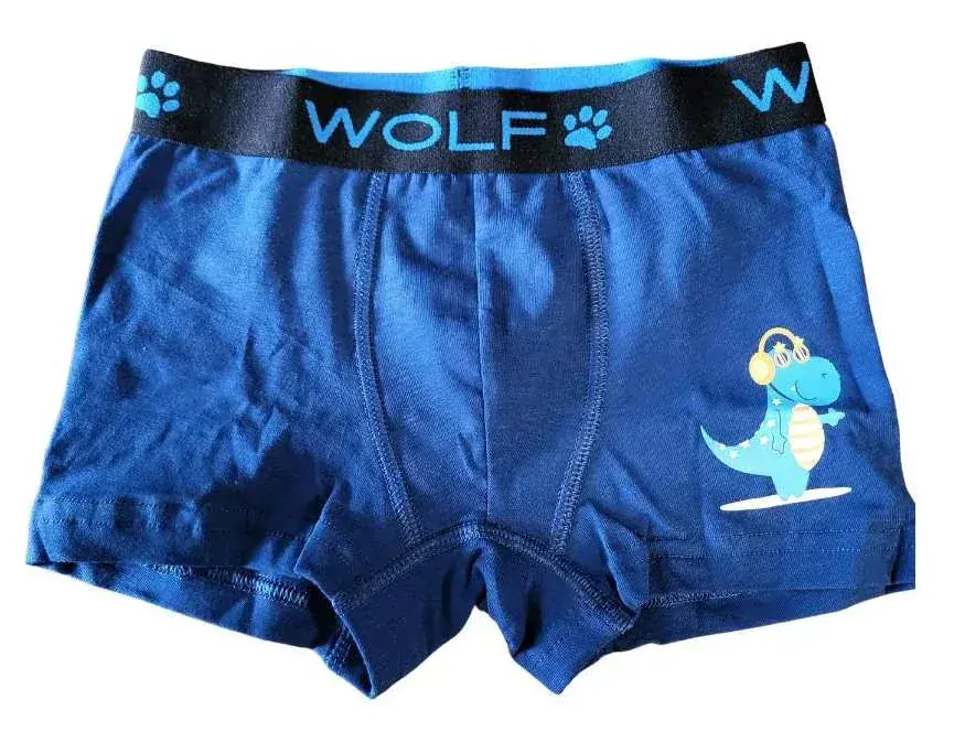 Chlapecké trenkoslipy/boxerky Wolf L2481 dvojbalení