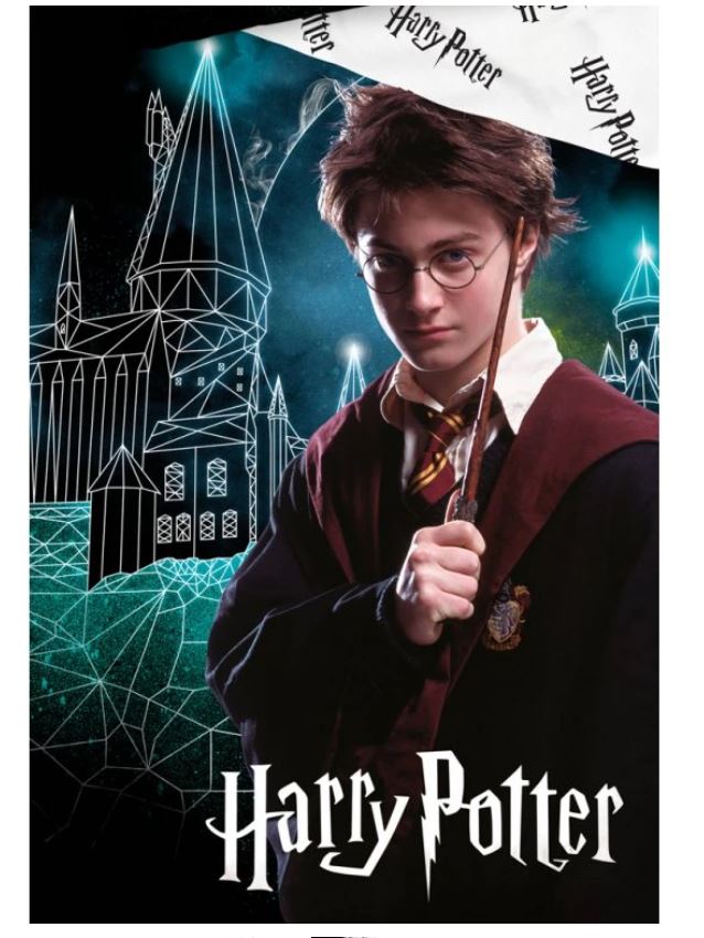 Povlečení na velkou postel Harry Potter Kouzelné Bradavice 140x200/70x90 cm