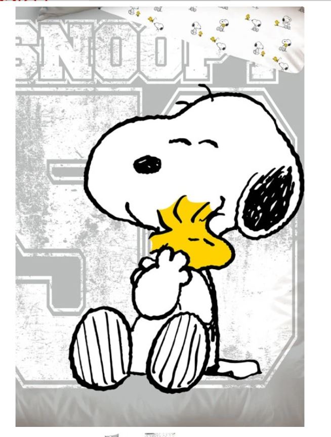 Povlečení na velkou postel Snoopy a Woodstock 140x200/70x90 cm