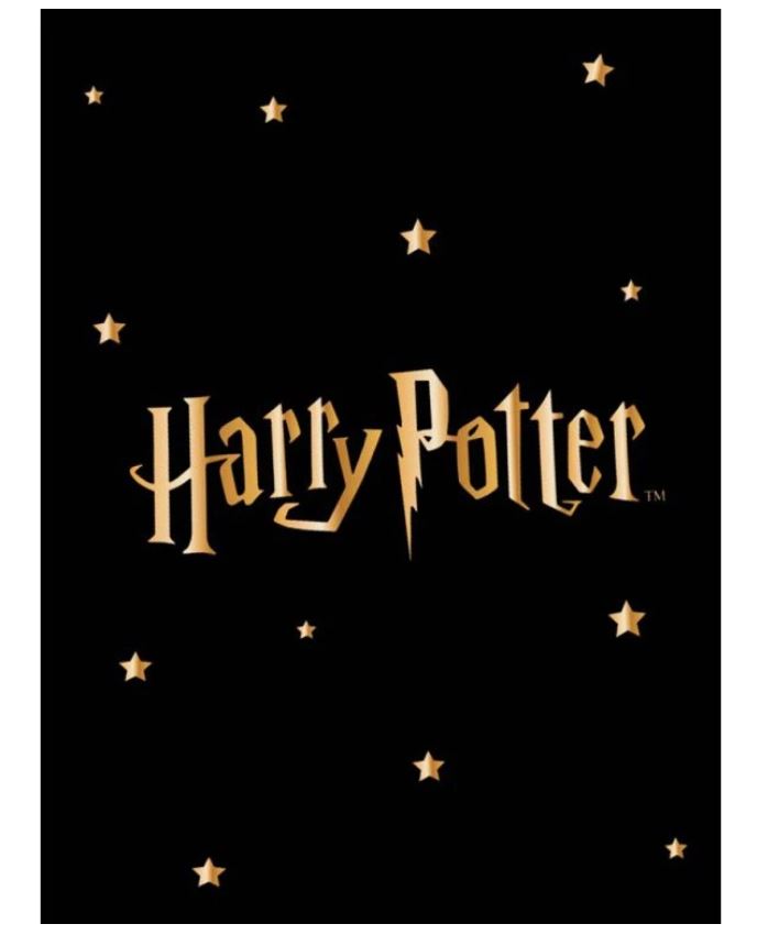 Fleecová deka Harry Potter Gold Star 130x170 cm