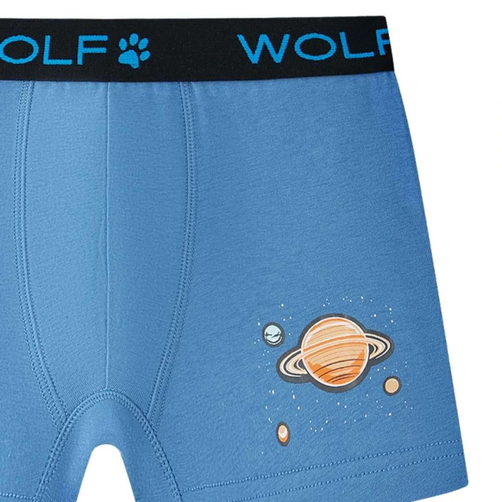 Chlapecké trenkoslipy/boxerky Wolf L2581 dvojbalení