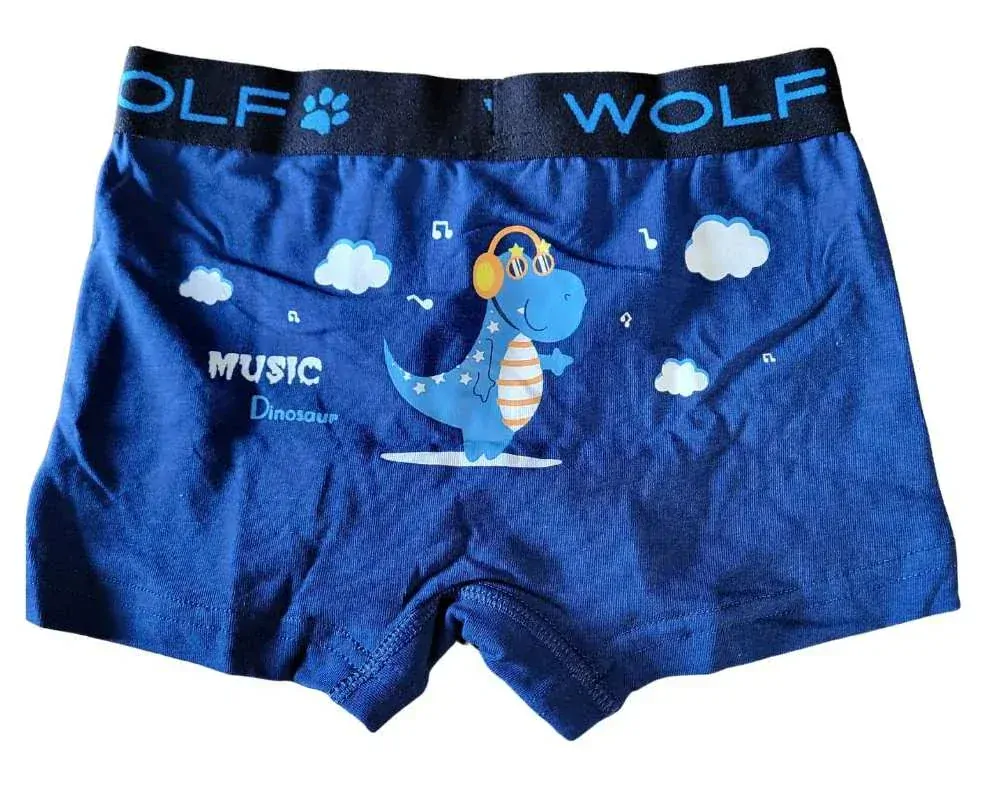 Chlapecké trenkoslipy/boxerky Wolf L2481 dvojbalení