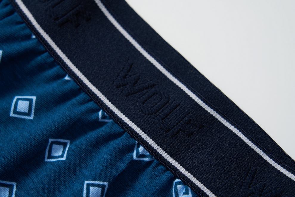 Pánské trenkoslipy/boxerky Wolf L2584 dvojbalení