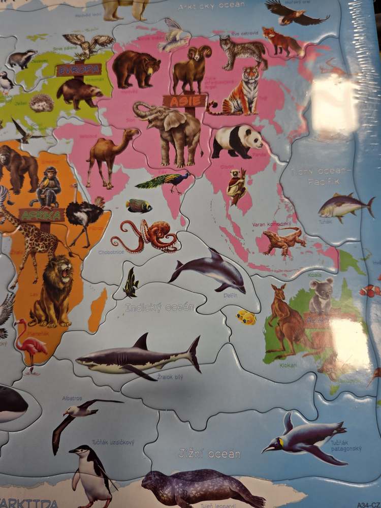 Zvířata ve světě - Vzdělávací puzzle