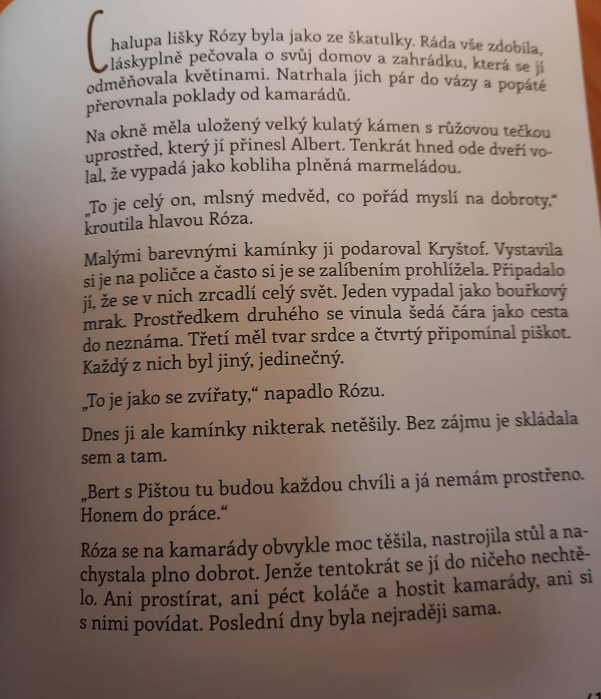 Dětská knížka O Bertovi, Pištovi a Rozince 