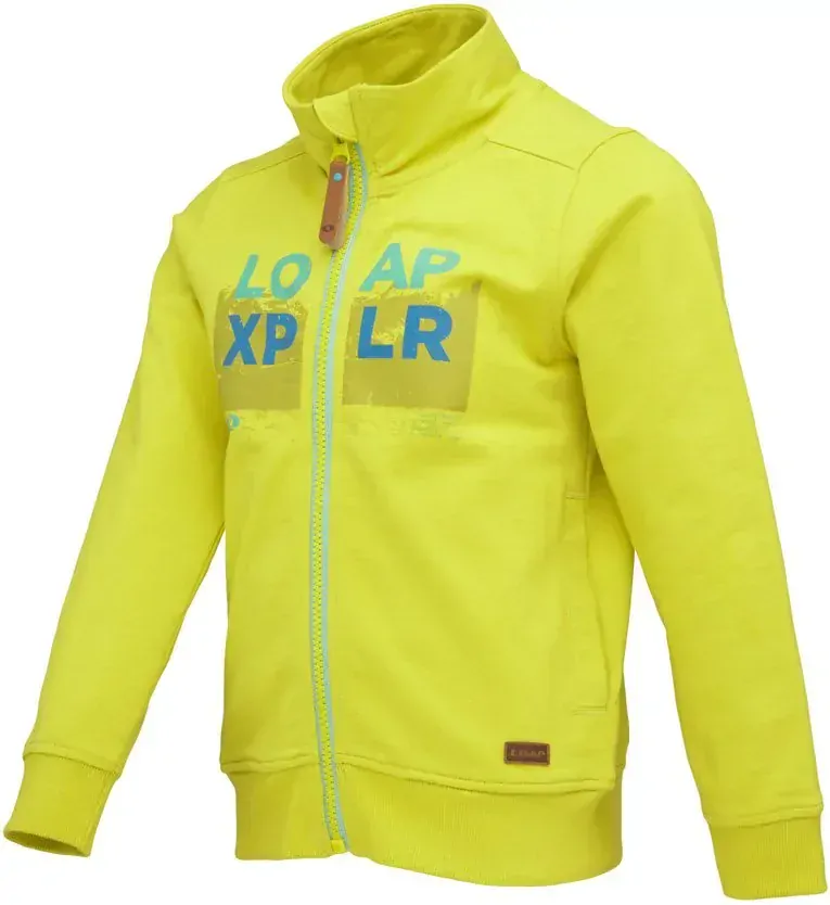 Chlapecká mikina Loap Dorot hrášková