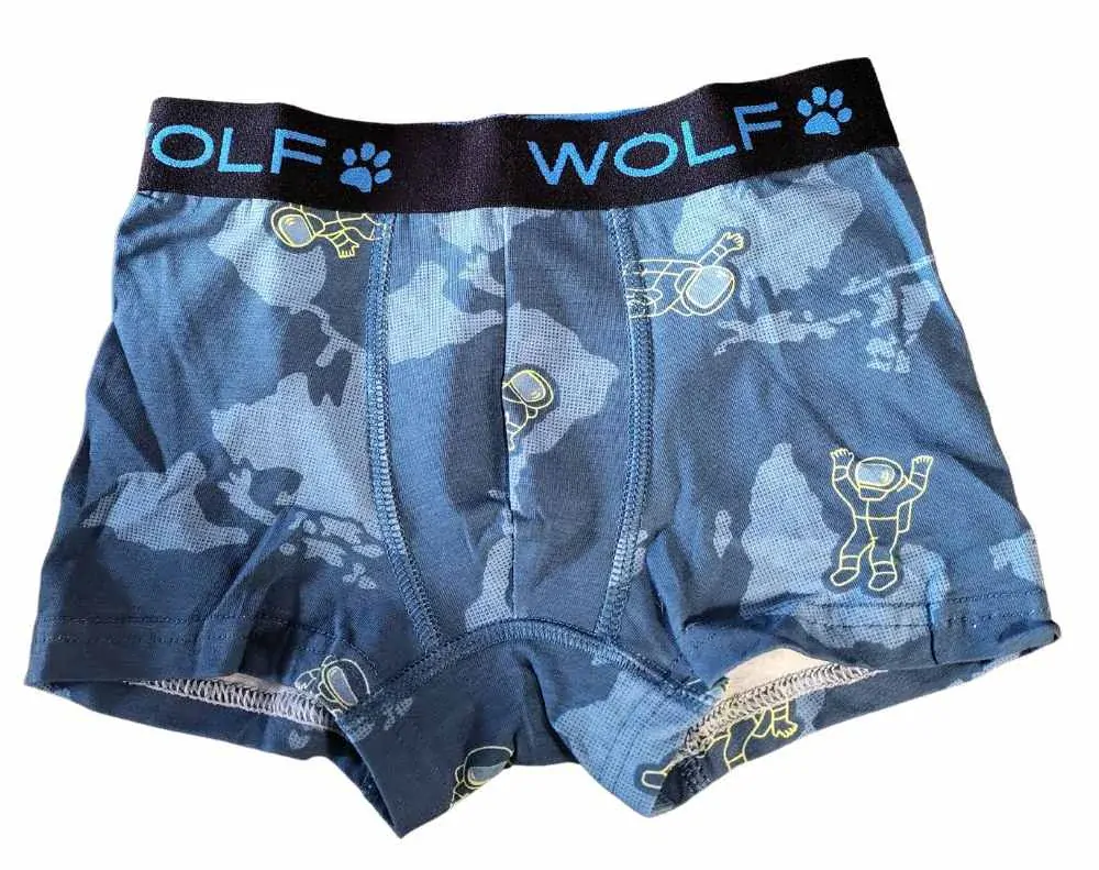 Chlapecké trenkoslipy/boxerky Wolf L2481 dvojbalení