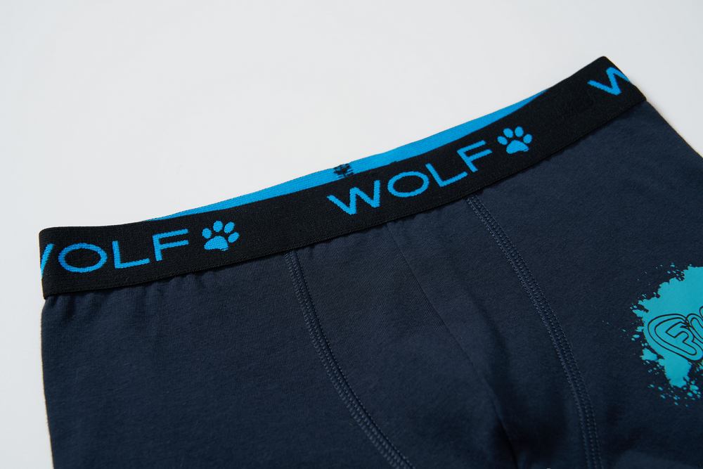 Chlapecké trenkoslipy/boxerky Wolf L2582 dvojbalení