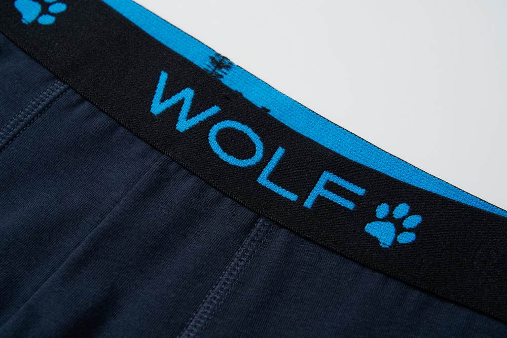 Chlapecké trenkoslipy/boxerky Wolf L2582 dvojbalení