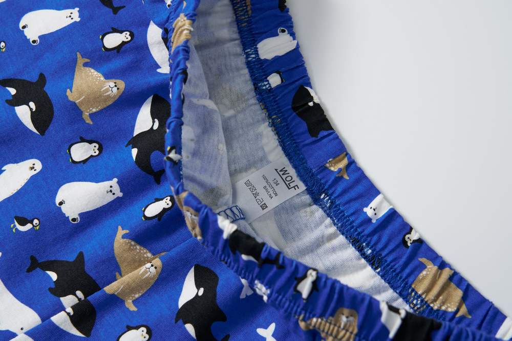 Chlapecké pyžamo Wolf S2555 modré lachtan