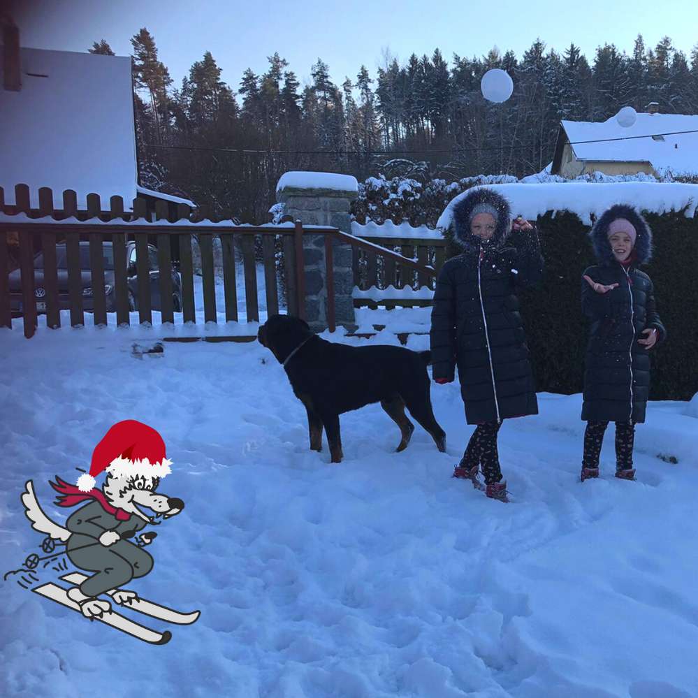 Zimní kabát Loap Intimoss černý