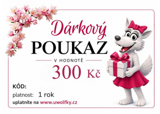 Dárkový poukaz 300 Kč zaslaný e-mailem