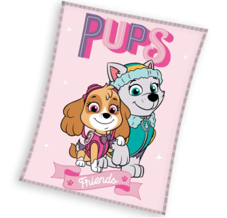 Fleecová deka Paw Patrol Sky a Everest 130x170 cm