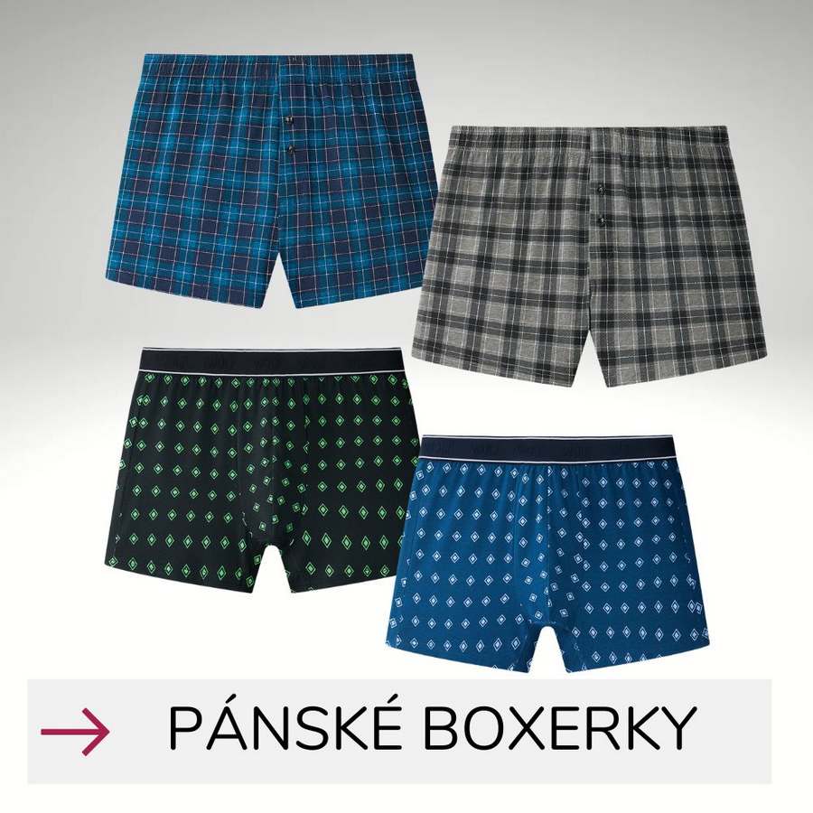 Pánské spodní prádlo